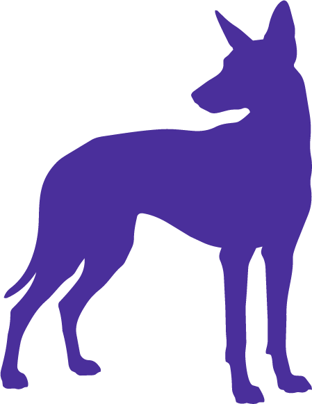 Custom dog silhouette created for Atticus