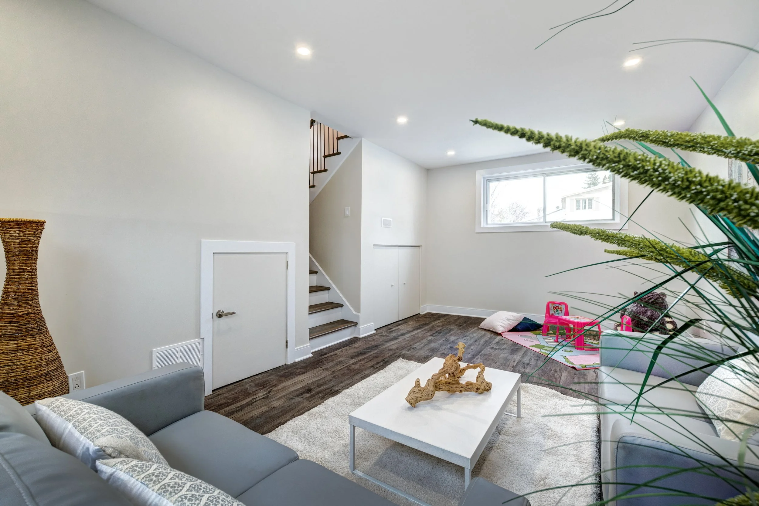 Basement Renovation