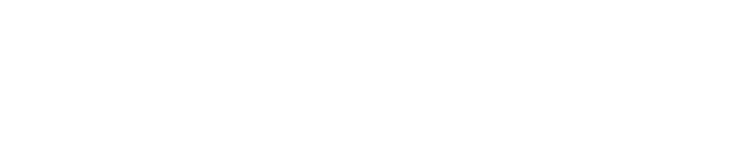 The Mint logo