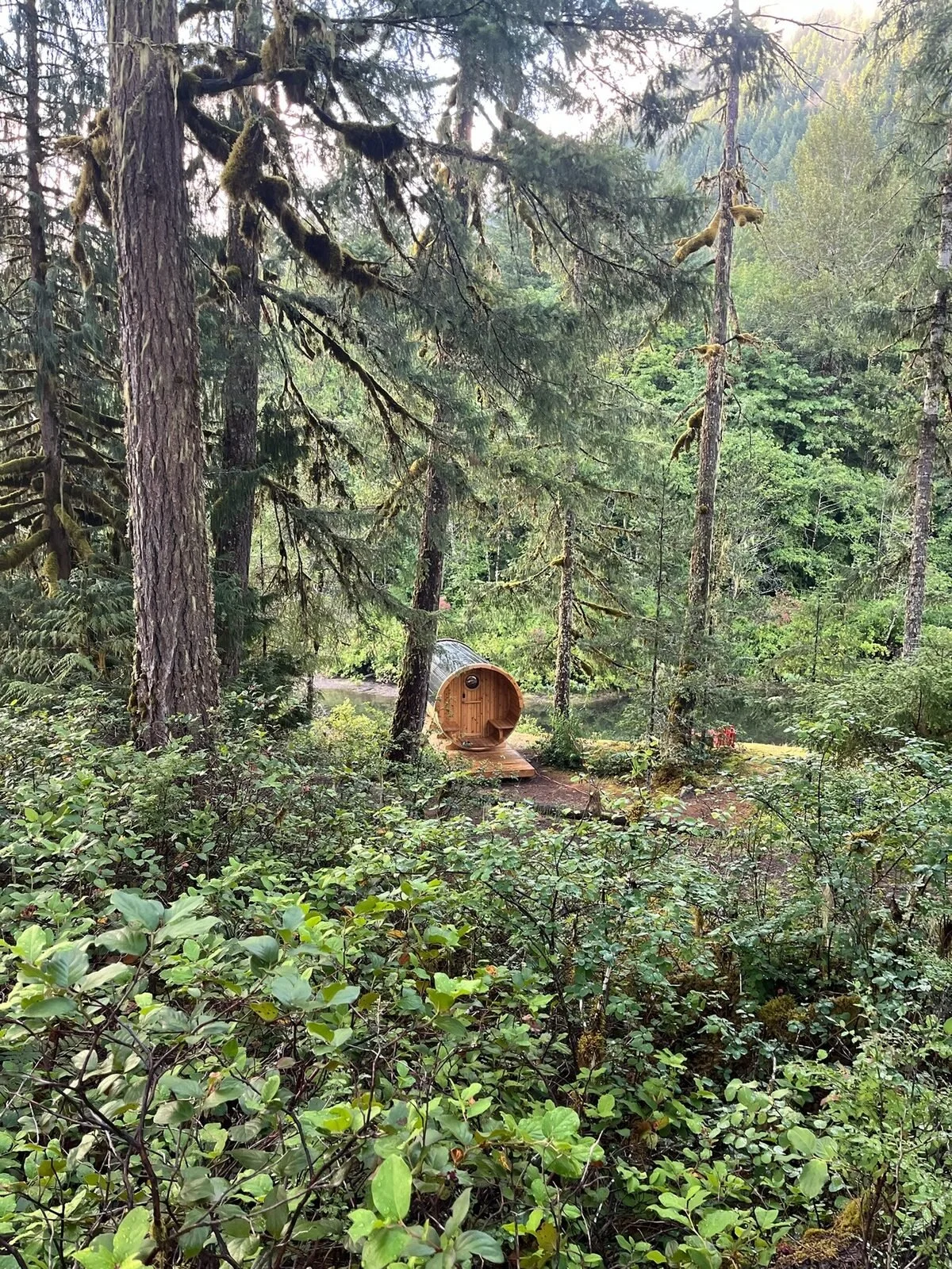 Secluded glamping barrel tucked into the forest beside a private bay