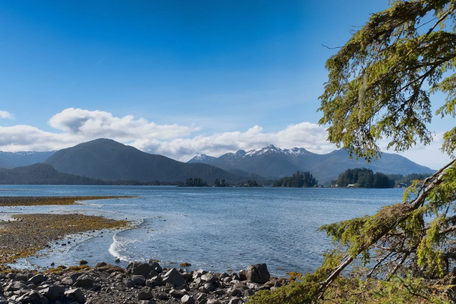 Sitka, Alaska harbor and totem poles