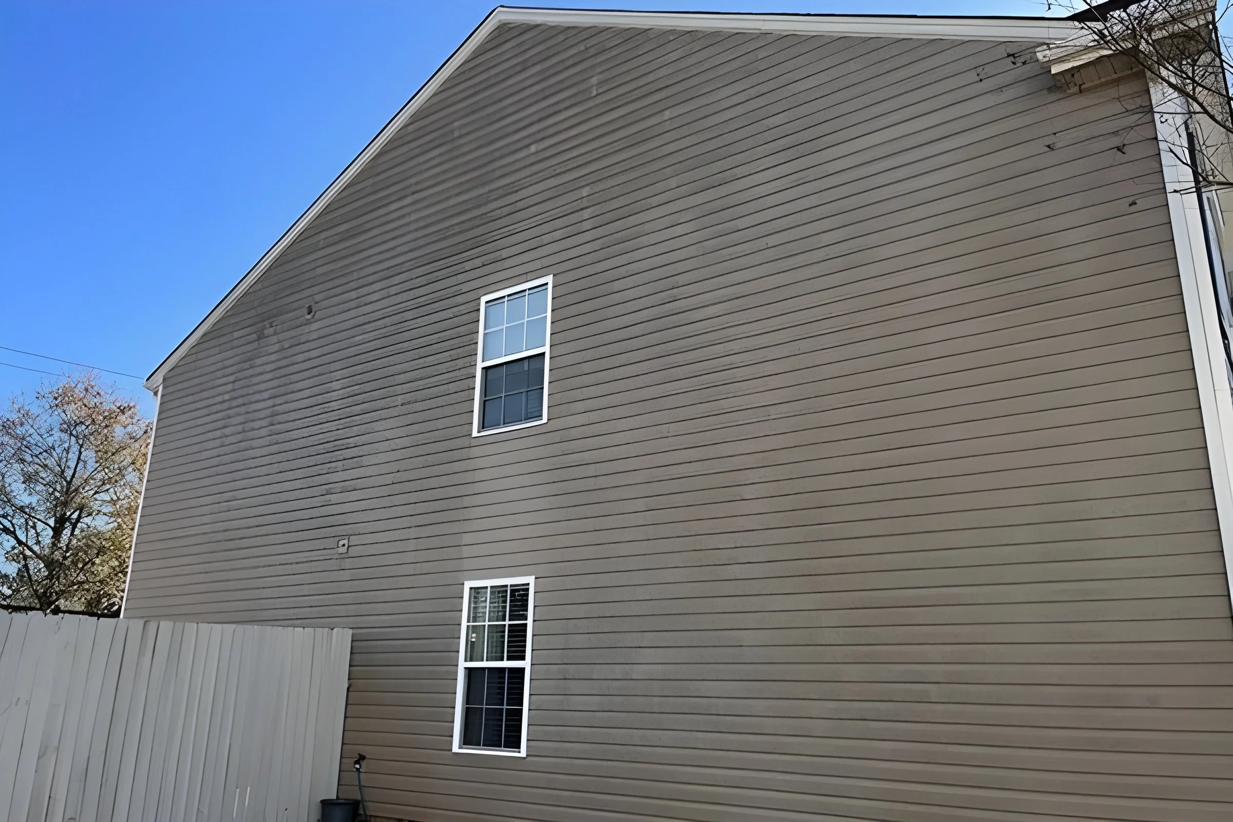 Before—vinyl siding with algae streaks (Greenville SC)
