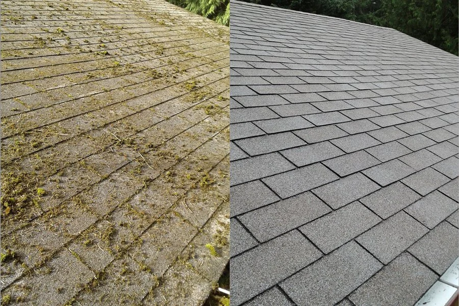 Close-up roof comparison: moss/lichen vs clean shingles