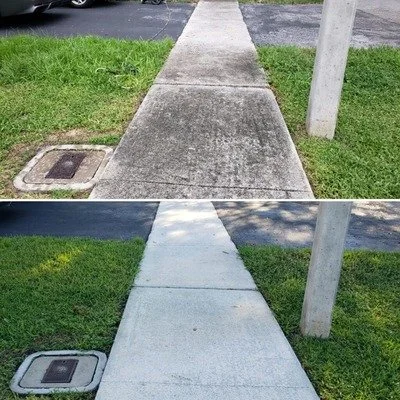 Sidewalk: gray buildup gone, concrete returns to light color