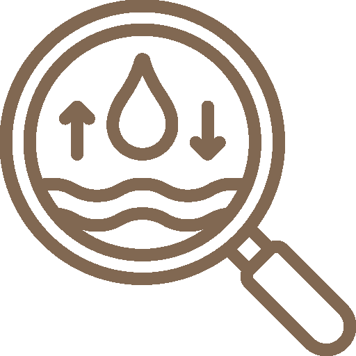 magnifier icon