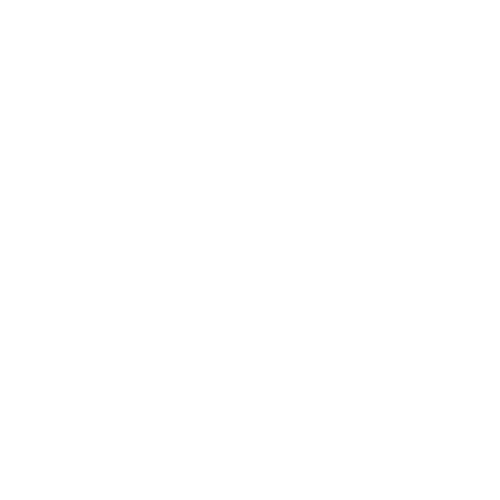 Peak Network Solutions Logo