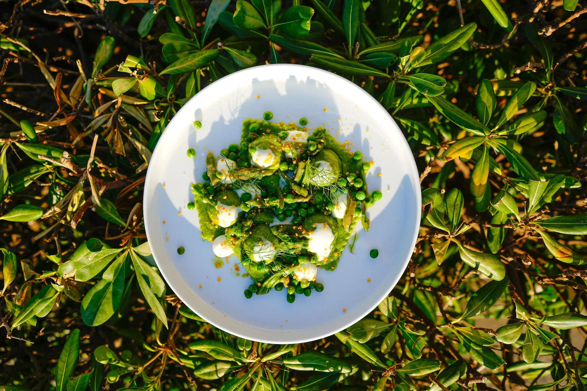 Piatto verde con erbe e fiori - cucina contemporanea StraFichi