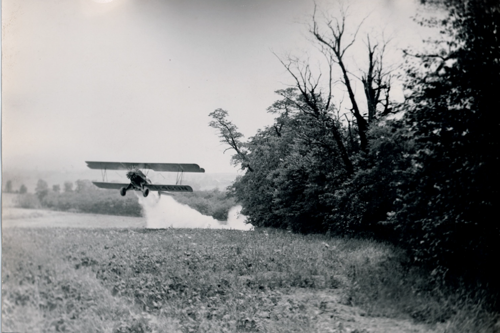Dynamic Aviation Heritage