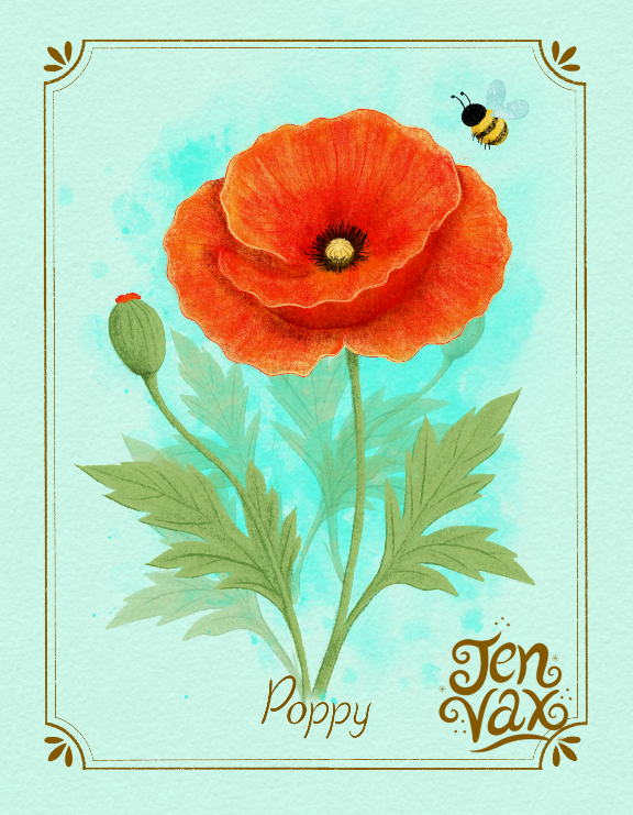 Decorative botanical illustration of a bright red poppy with a tiny bee