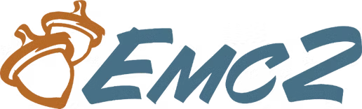 EMC2 Group, Inc
