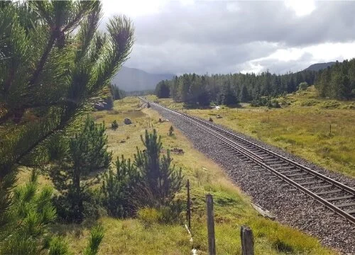 Railway tracks extending through a rural landscape at Barracks Rail Crossing, the site of a Northpoint geotechnical rail survey