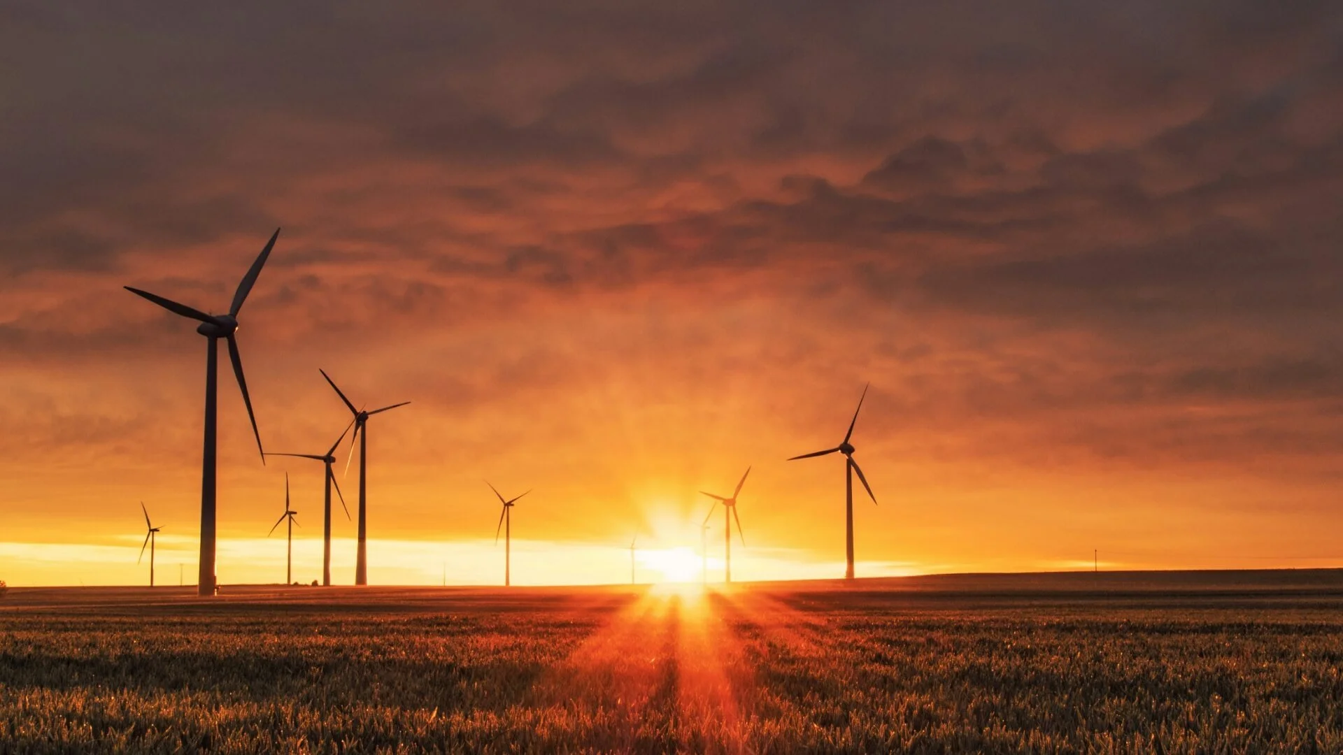 Wind turbines across open farmland at sunset