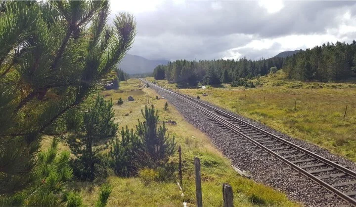 A rural railway line cutting through a grassy landscape with pine trees and hills in the distance, representing the Barracks Rail Crossing infrastructure project
