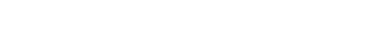 Northpoint Logo in white