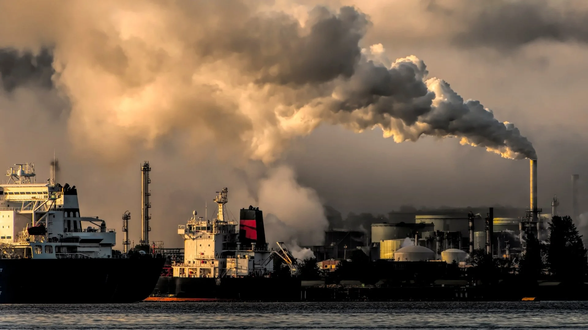 The Evolution of Global Warming