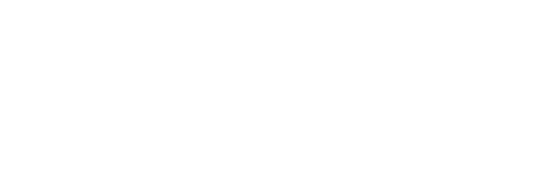 Ensiab Logo - Intelligent Flow Healthcare Delivery