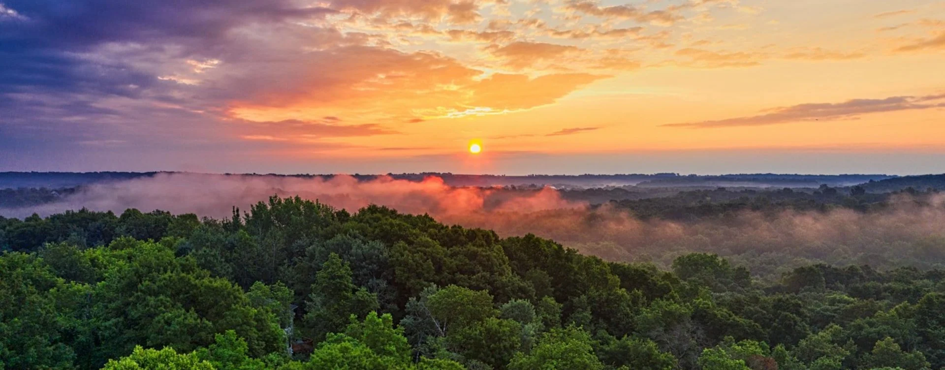 Sunset over a peaceful forest