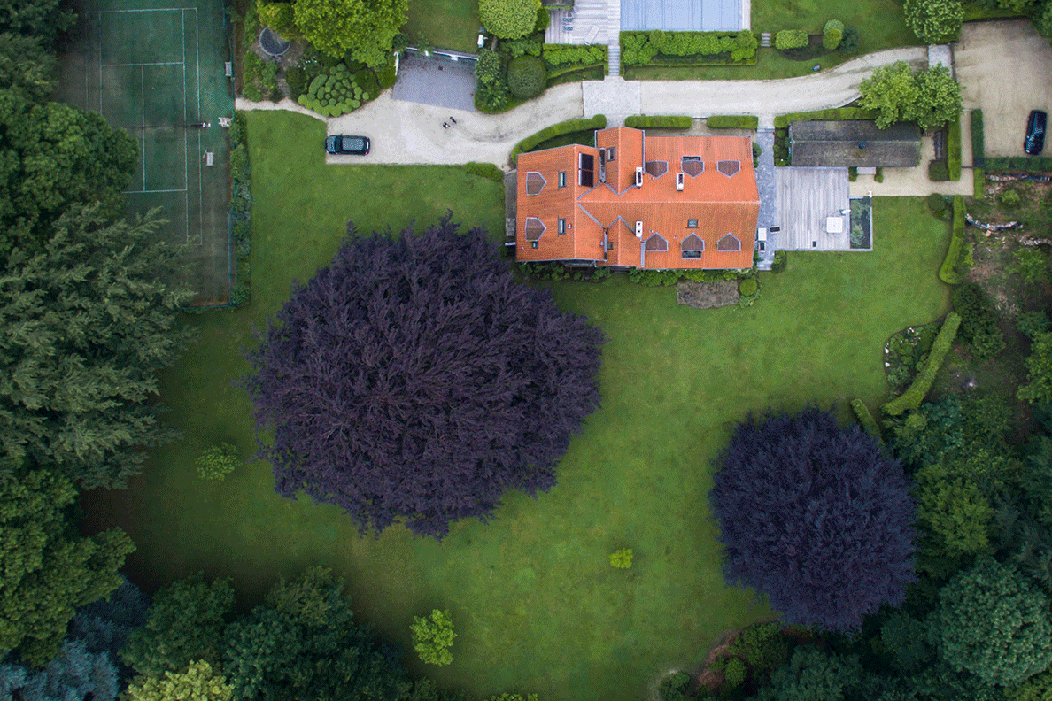 Artisan Grounds