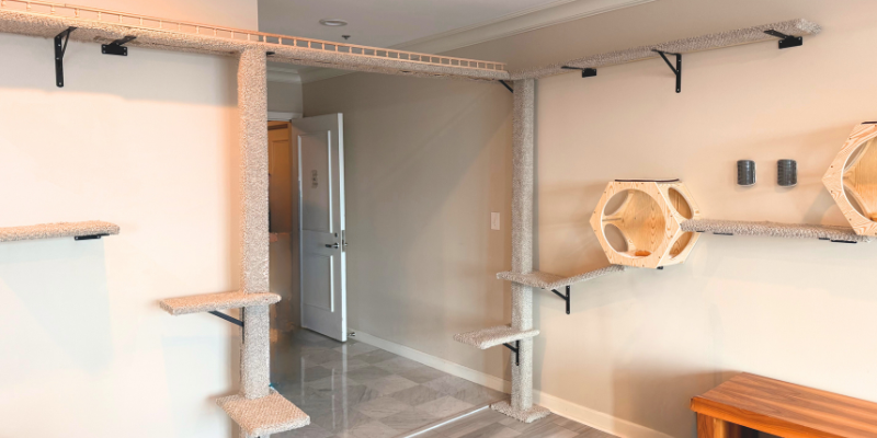 Custom Indoor Cat Wall System