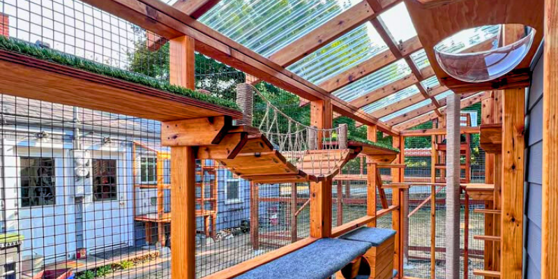 Custom Outdoor Catio Enclosure