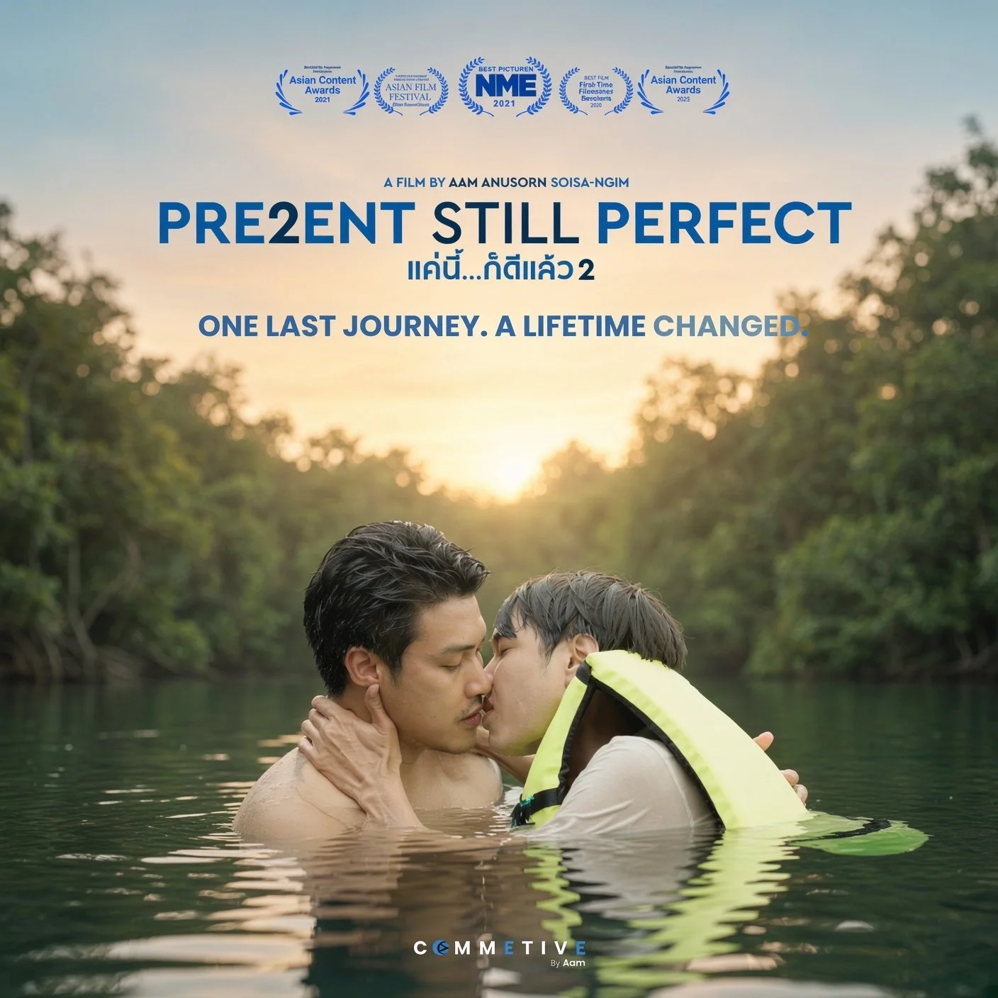 Present Still Perfect poster