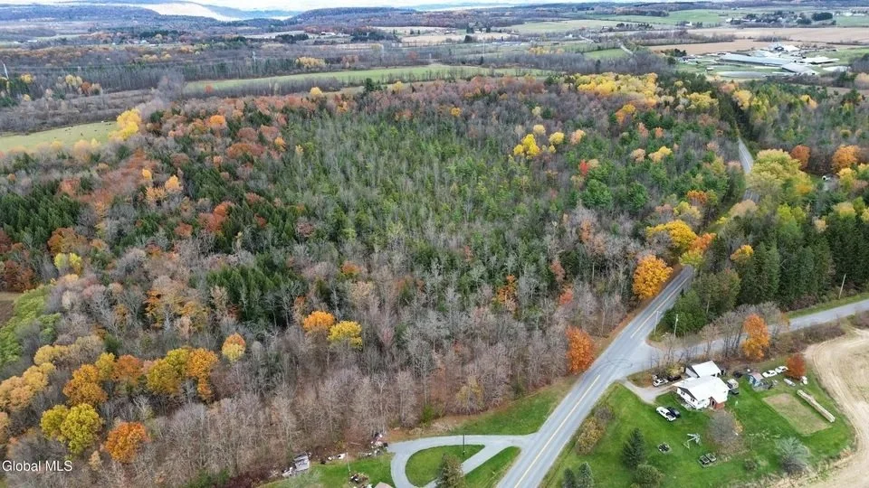 Aerial listing photo of wooded land on Flat Creek Road in Sprakers, New York