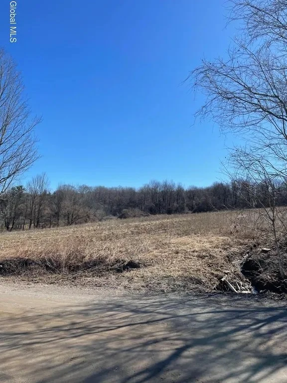 Open field beside Snell Road at the sold 4.05-acre parcel in Minden, New York
