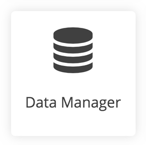 Data Manager icon