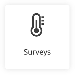 Surveys icon