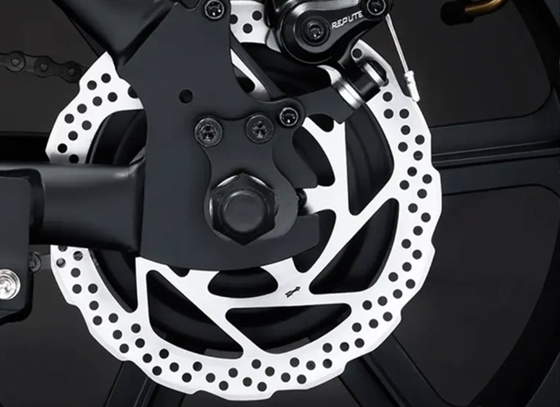 Front and rear disc brakes