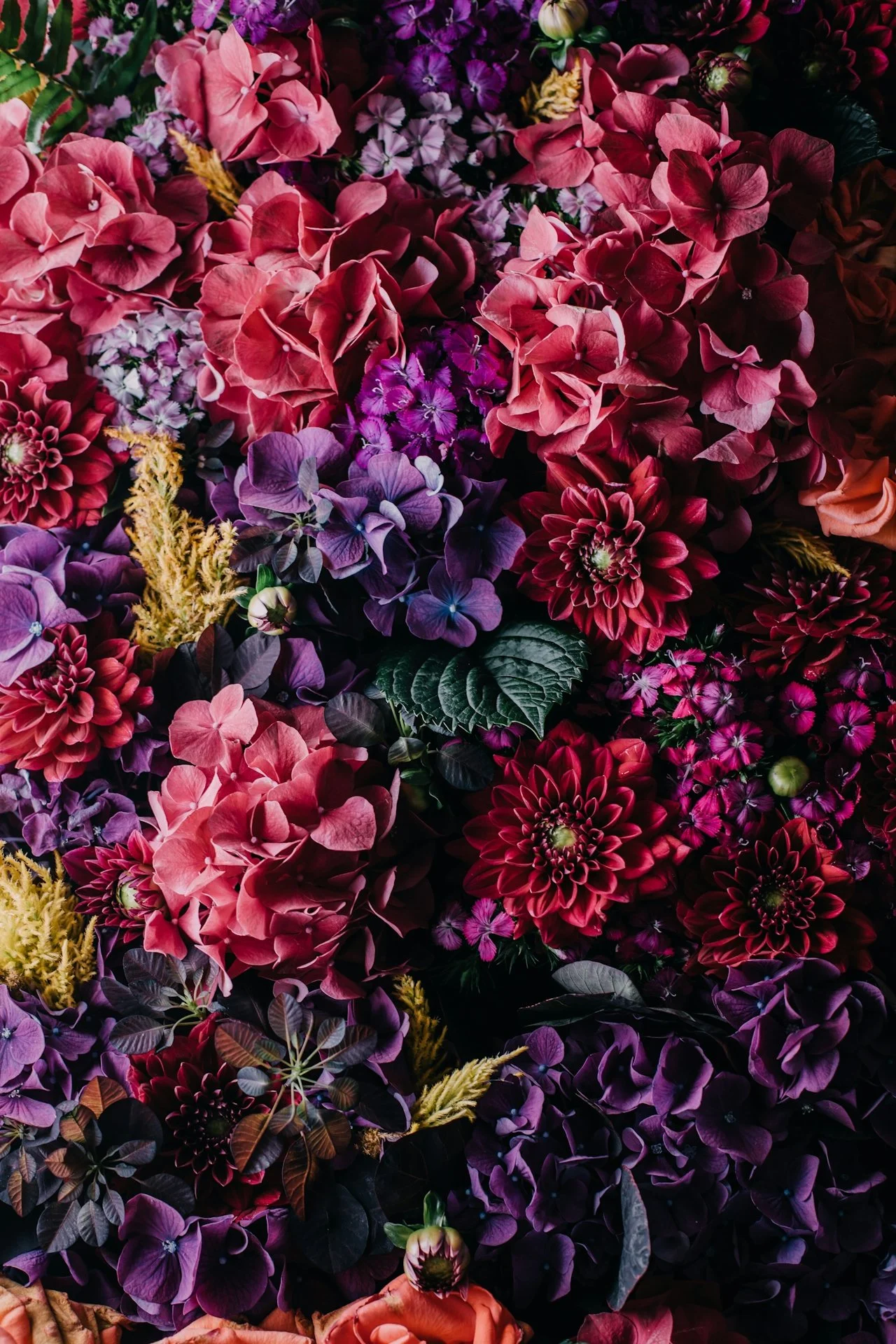 A lush bunch of pink and purple flowers