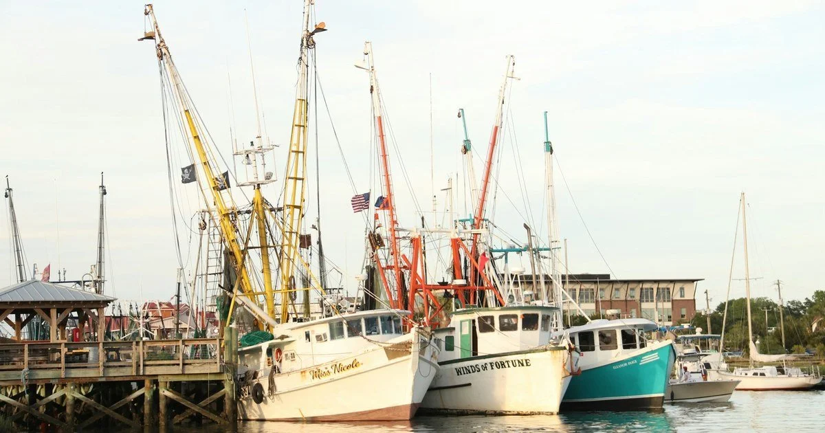 Shrimp boats docked at a wooden pier on Shem Creek in Mount Pleasant, South Carolina