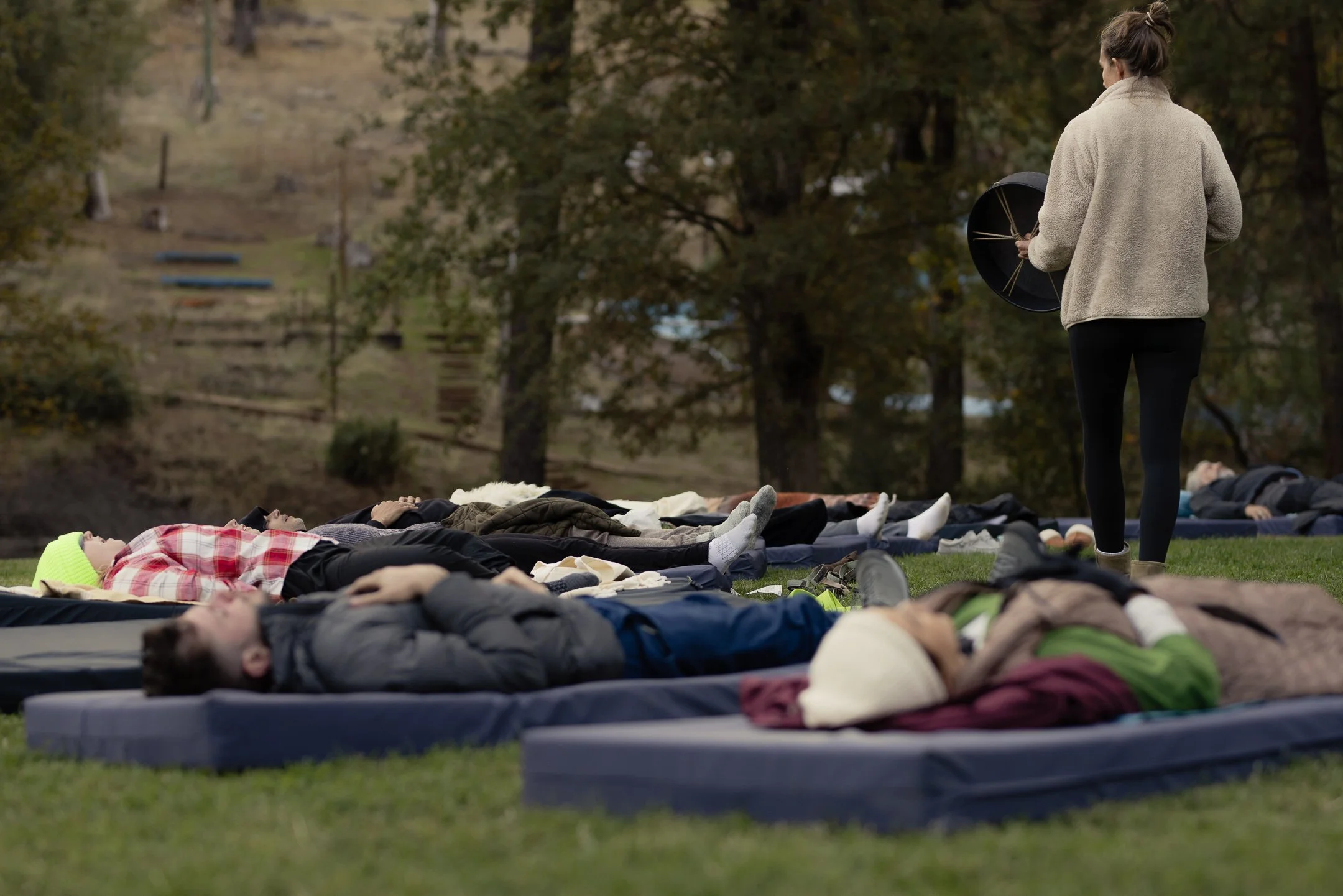Metamorphosis community