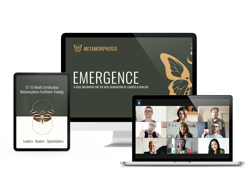 Emergence Program Suite