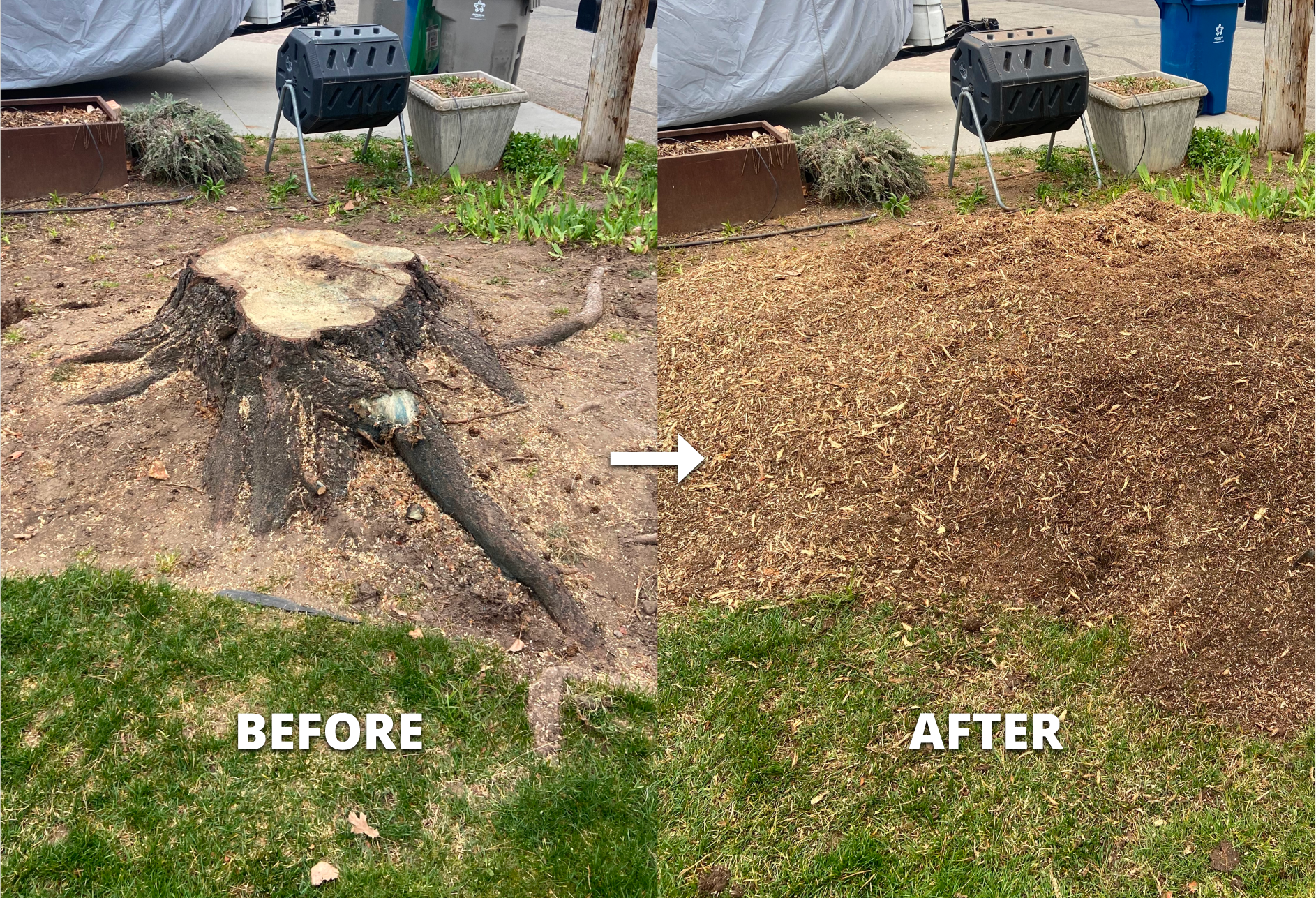 Before and after surface root grinding in Treasure Valley, Idaho — job 3