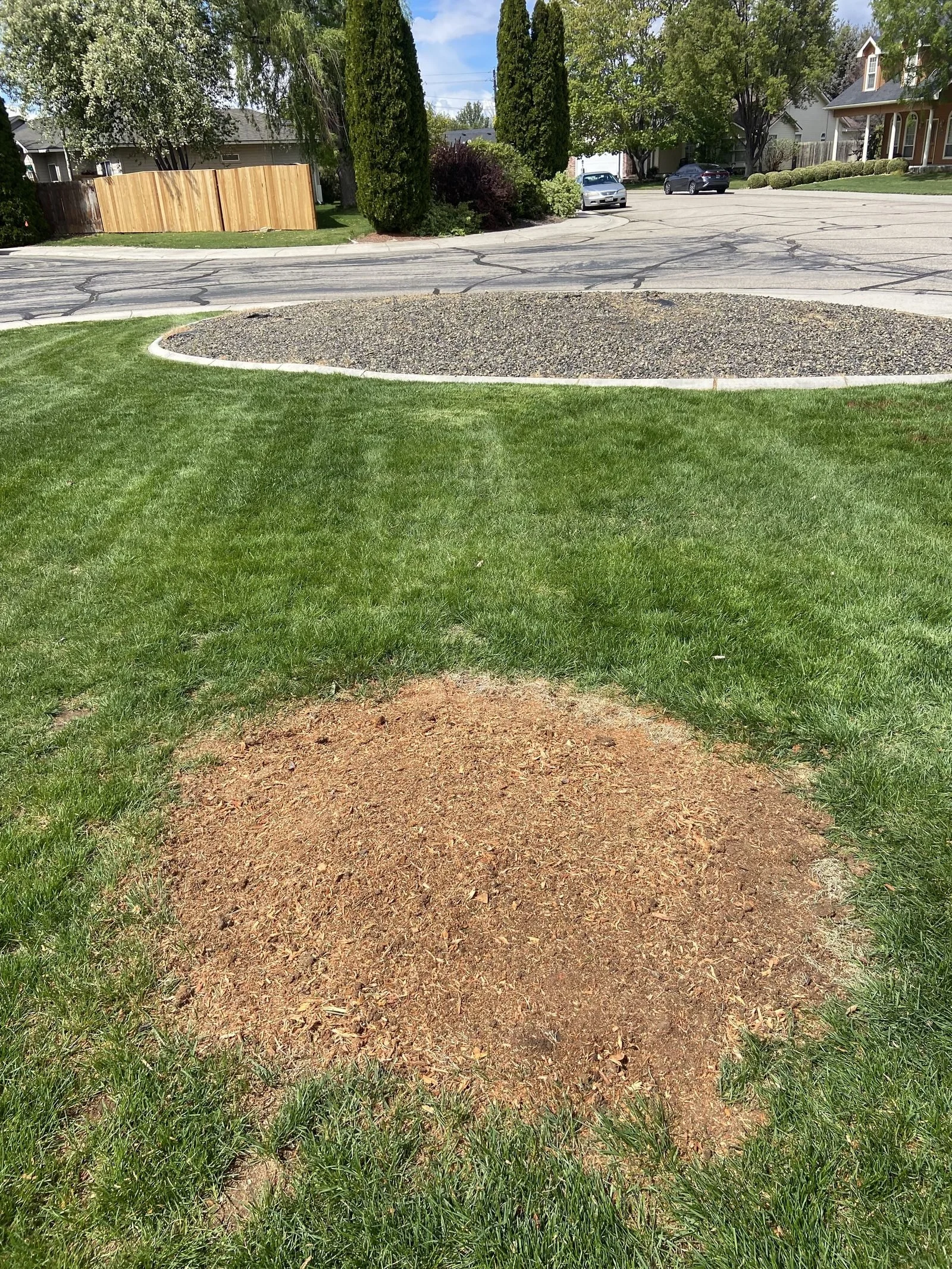 Tree Stump Grind n' Go