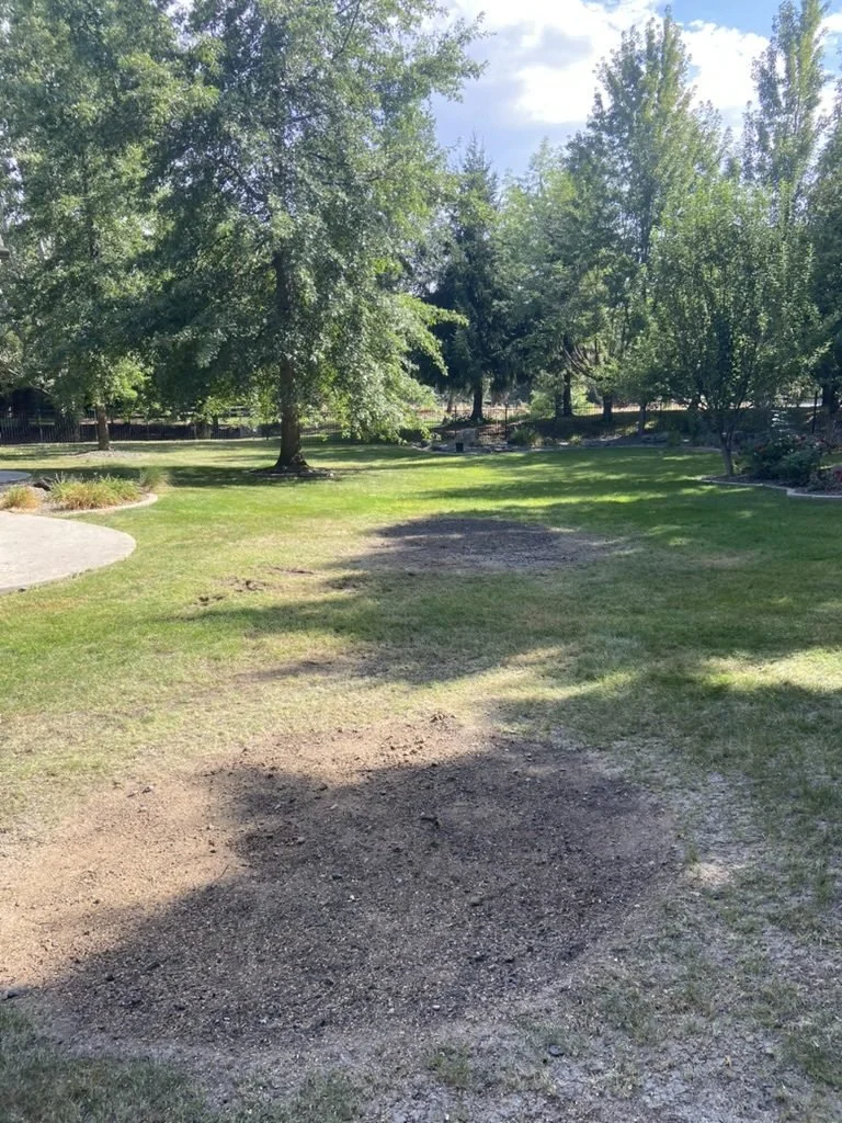 Tree Stump Grinding and Mulch Removal