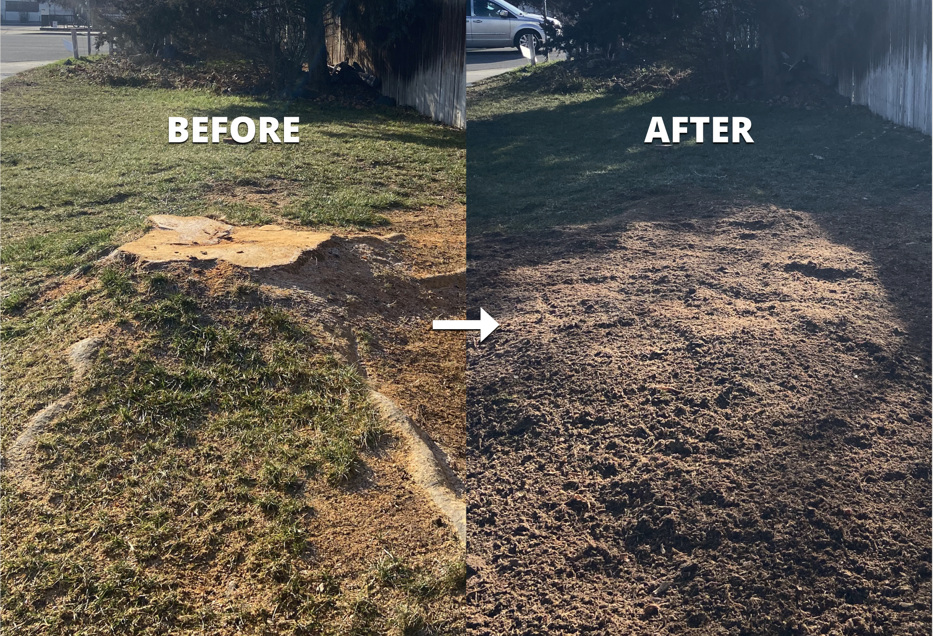 Before and after surface root grinding in Treasure Valley, Idaho — job 4