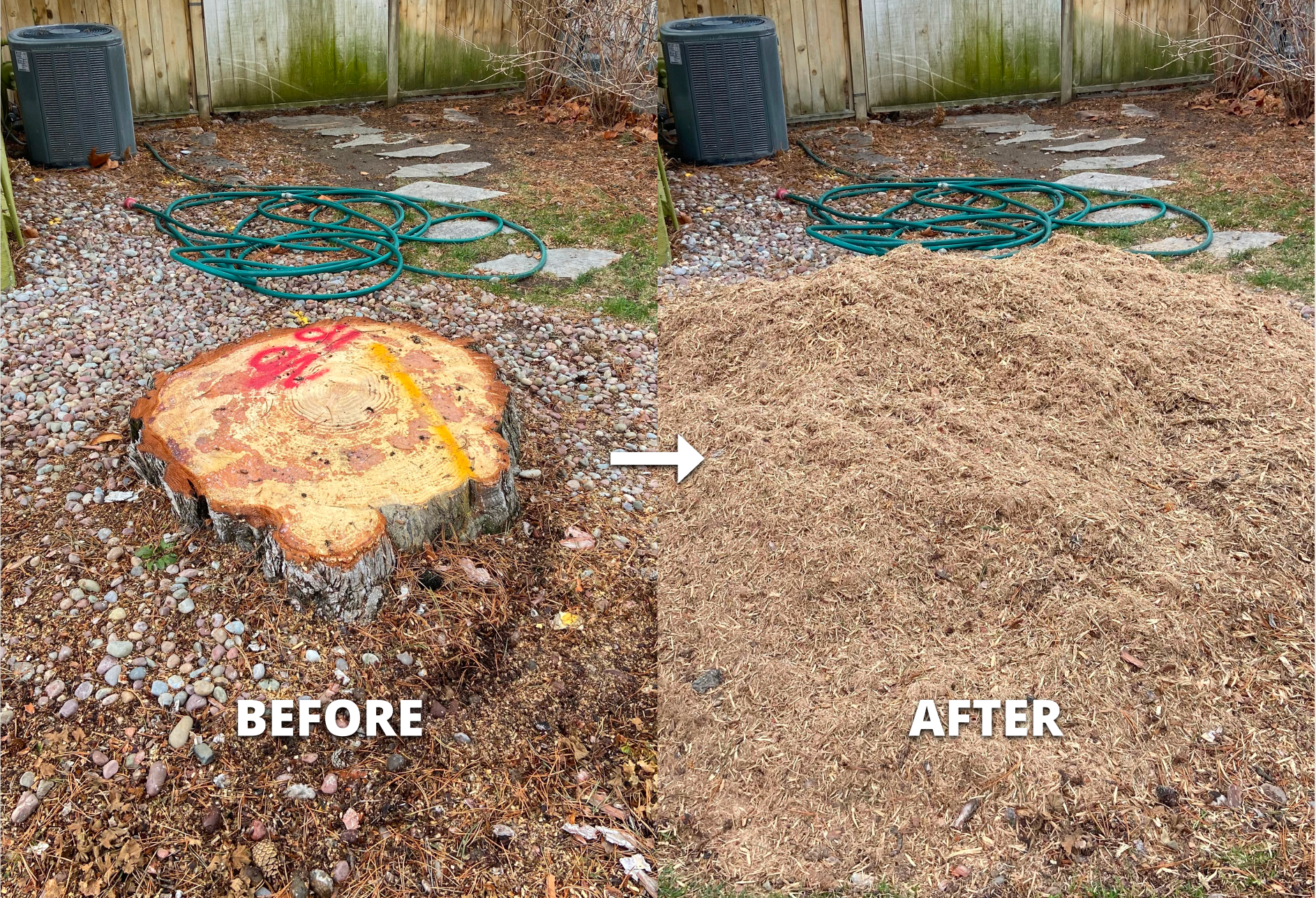 Before and after stump grinding in Treasure Valley, Idaho — job 2