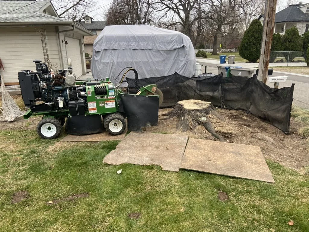 Uncle Stump Bandit stump grinder positioned at a tree stump before grinding in Treasure Valley, Idaho