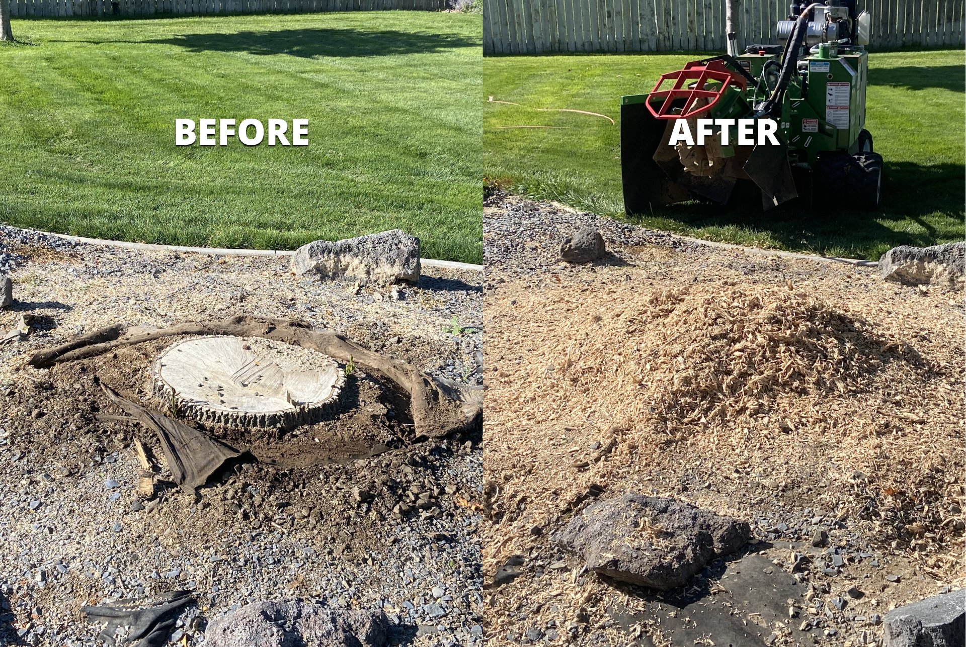 Before and after stump grinding in Treasure Valley, Idaho — job 5