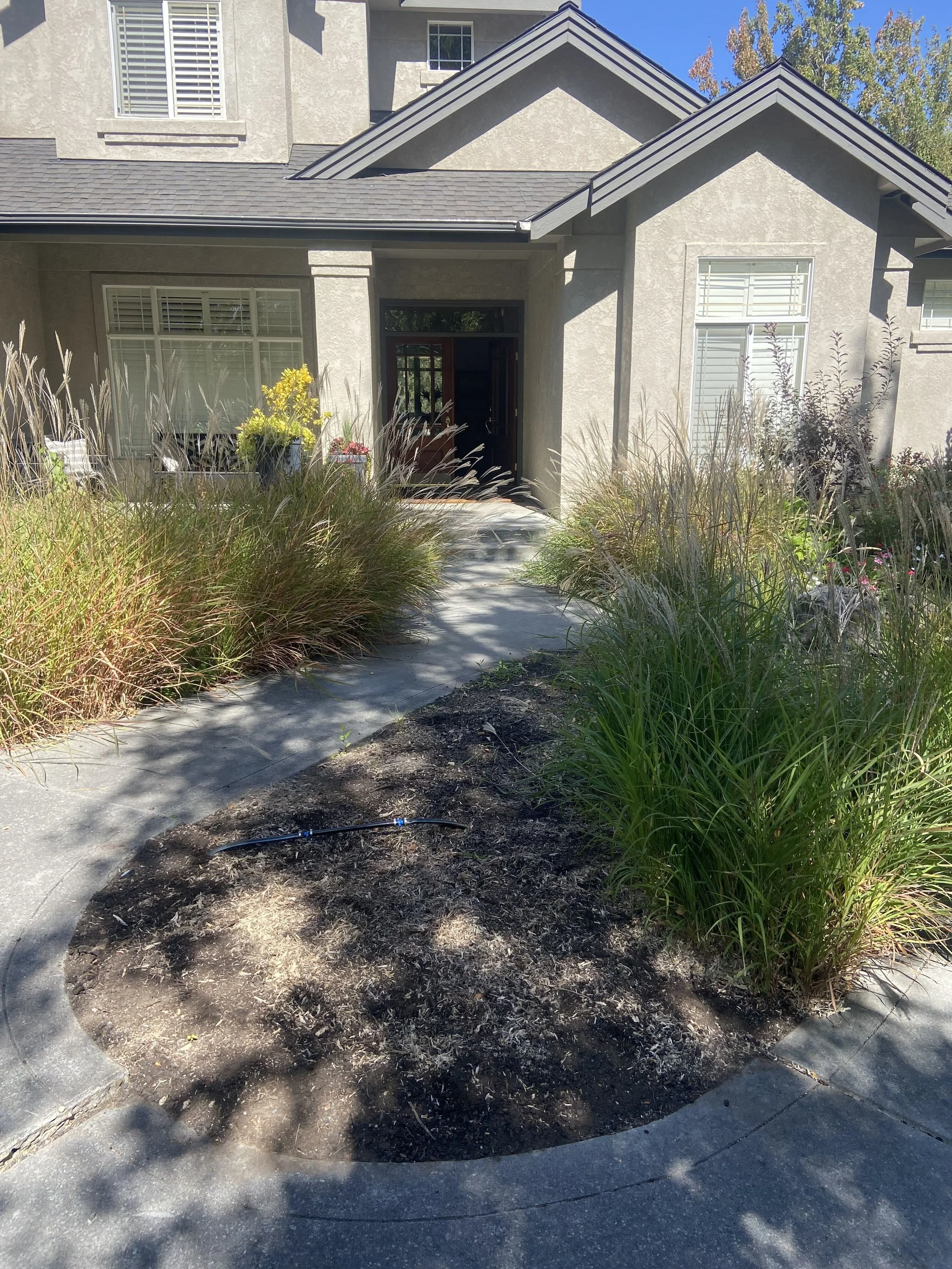 After: stump removed and planting bed ready for restoration, with surrounding landscaping preserved