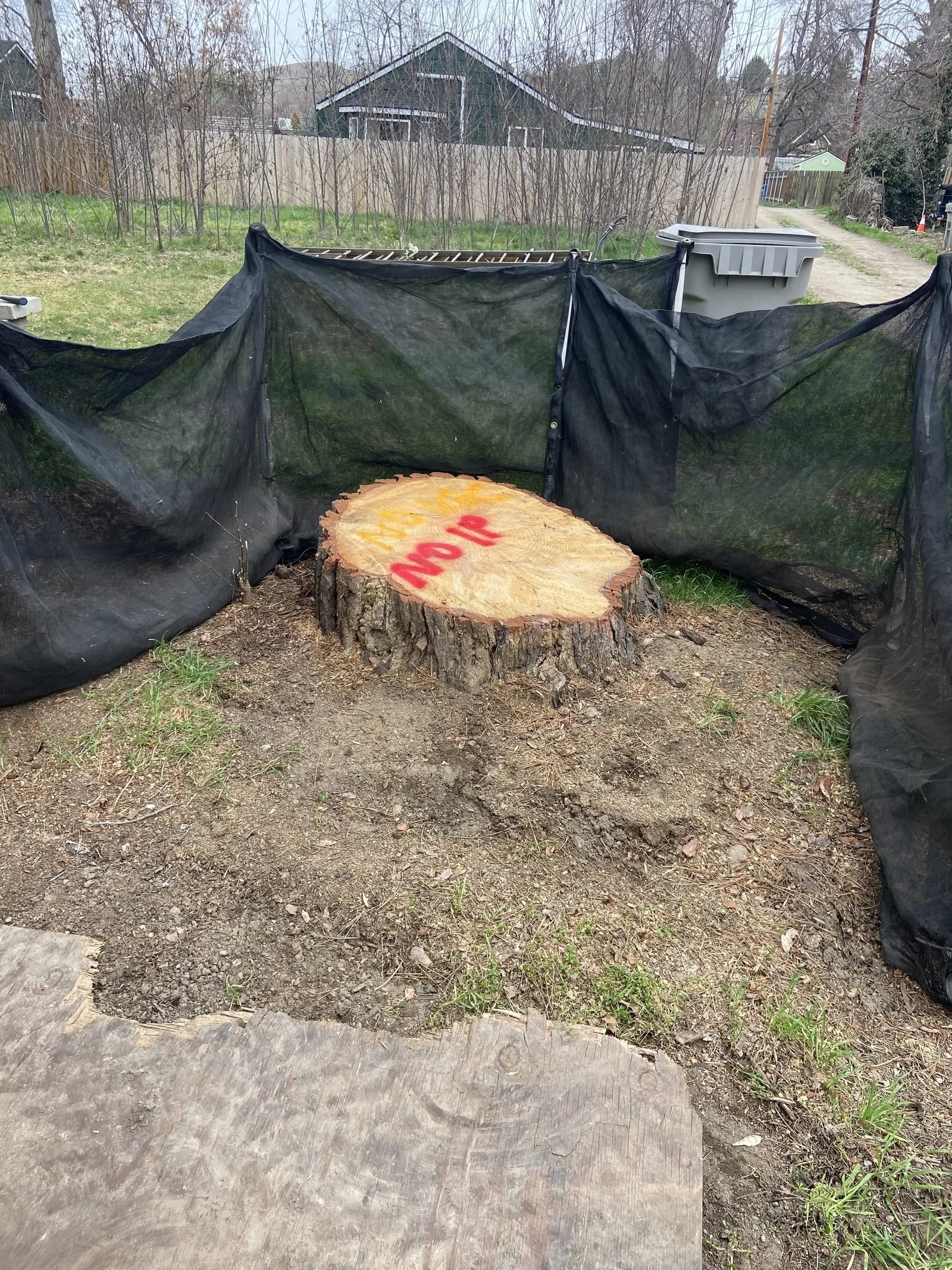 Stump removal through professional grinding