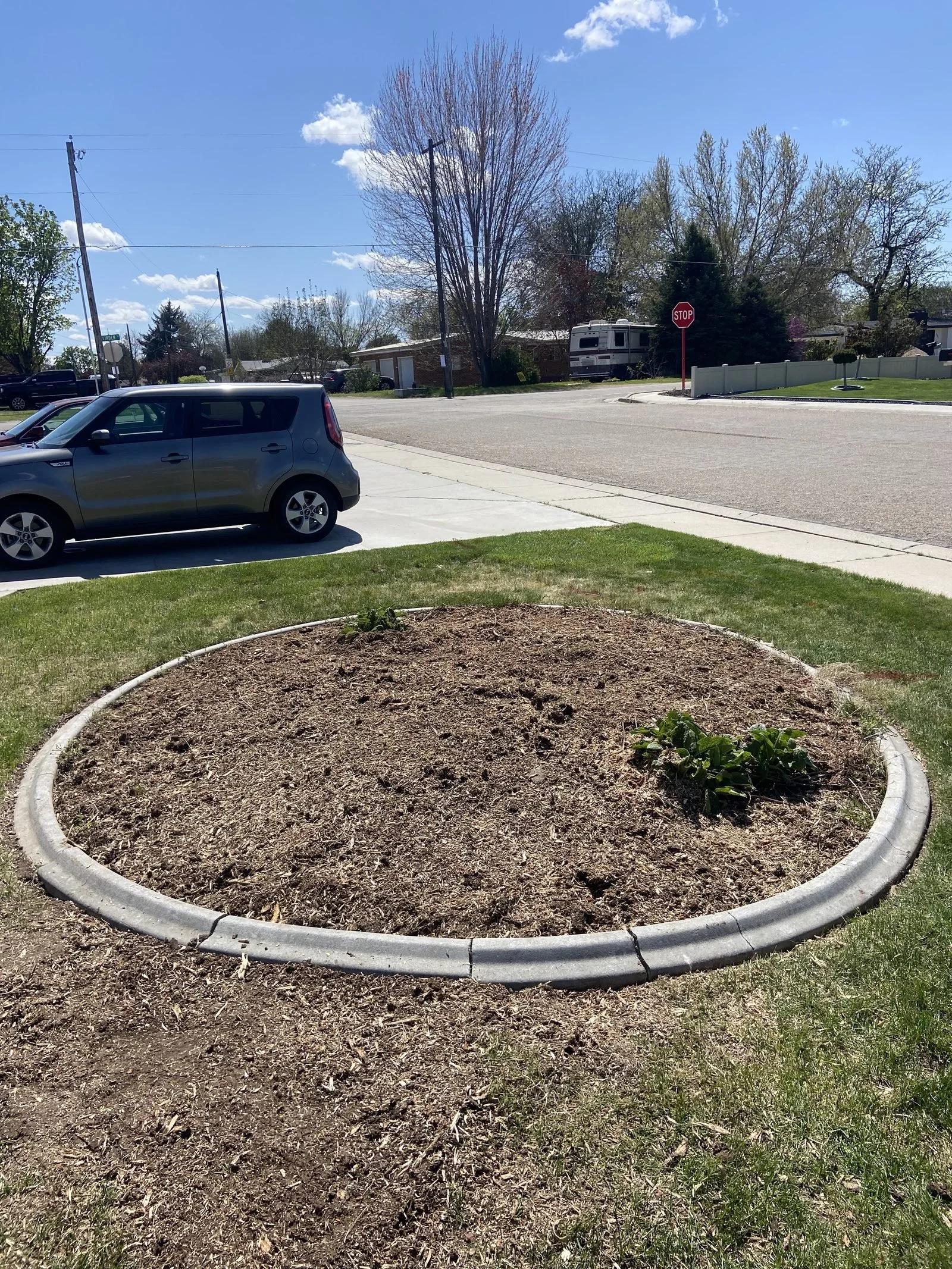 Stump grinding for sod and landscaping