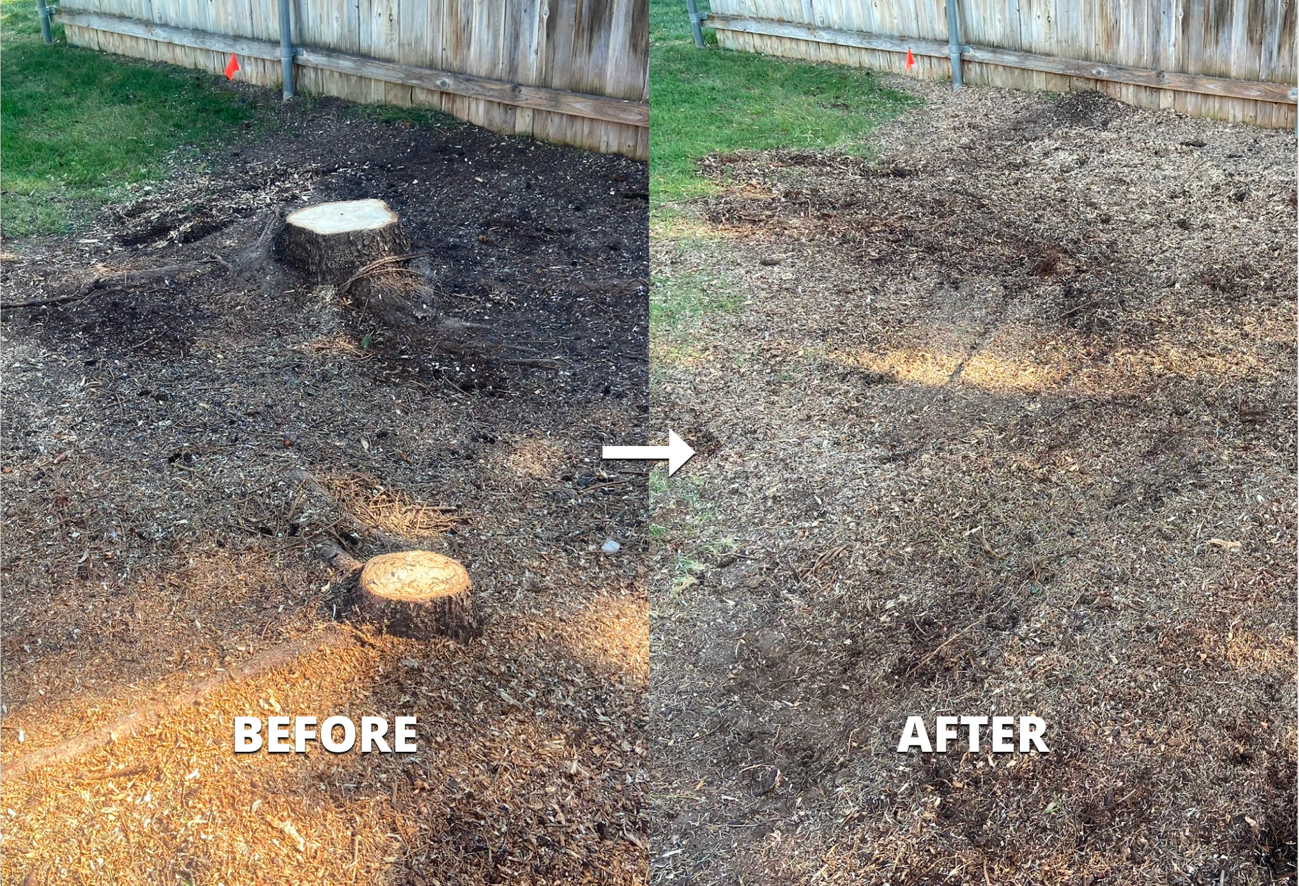 Before and after stump grinding in Treasure Valley, Idaho — job 4