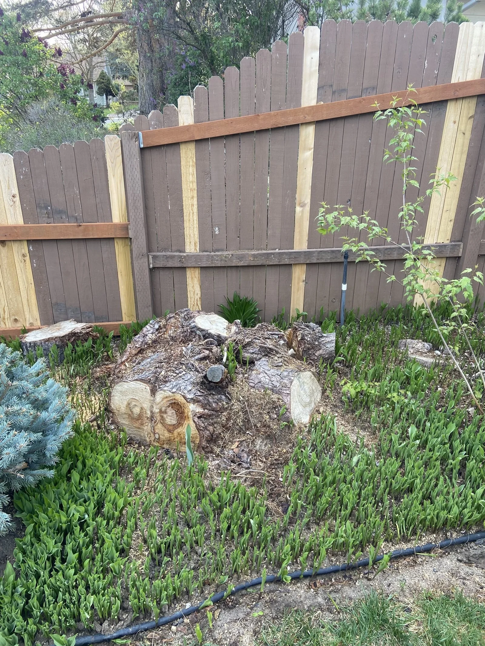 Careful work around lawns and sprinkler systems