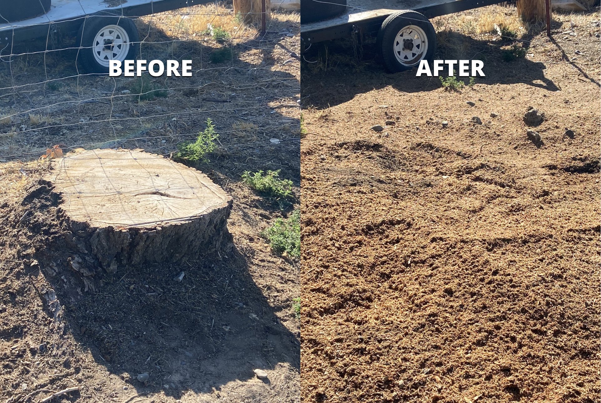 Before and after stump removal in Treasure Valley, Idaho — job 5