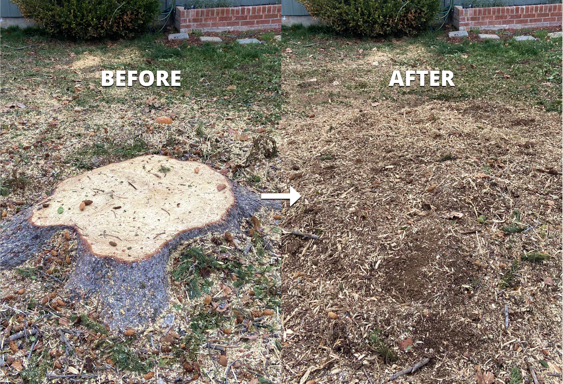 Before and after stump removal in Treasure Valley, Idaho — job 3