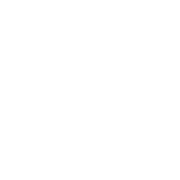 LED icon