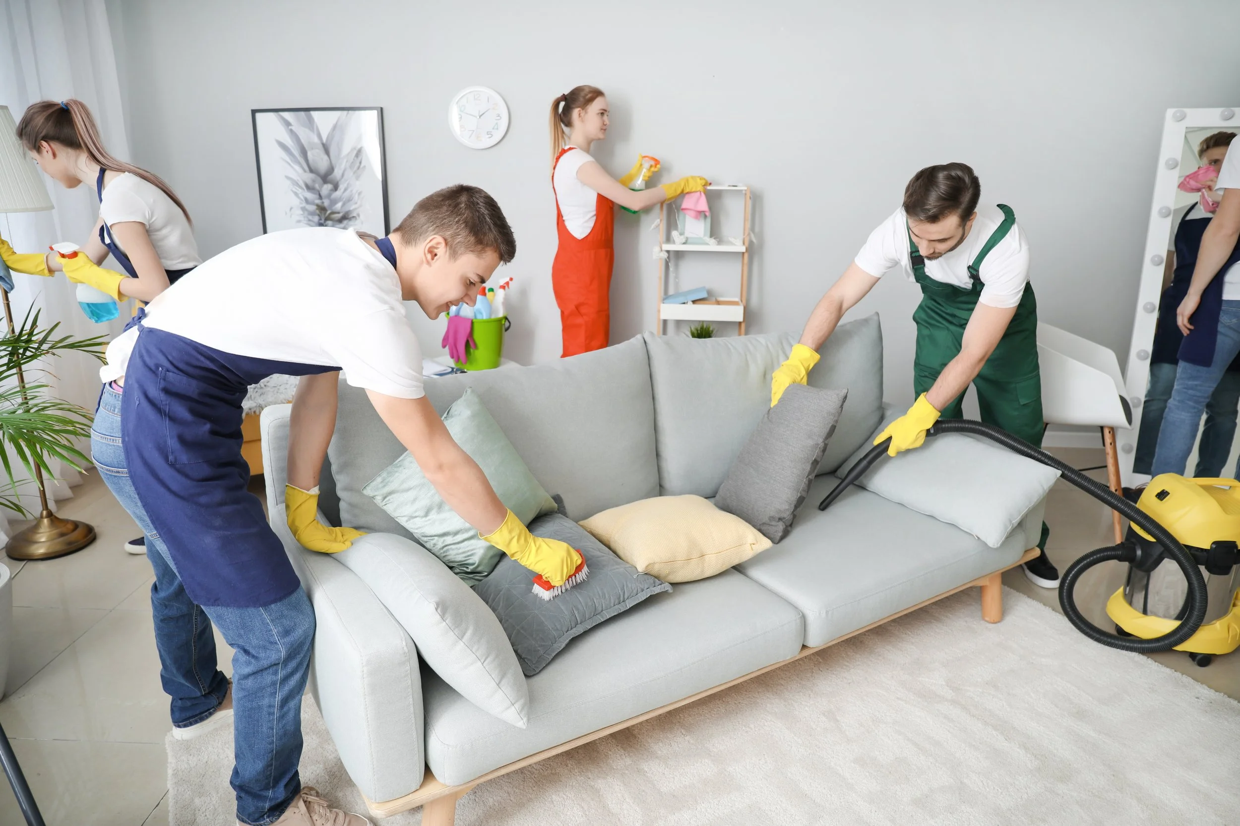 Basic Cleaning